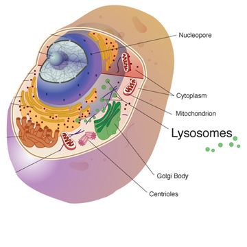 Resources For Teachers Unlocking Life S Code