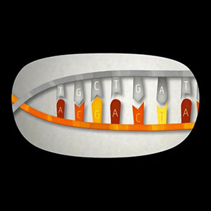 Illustration of a DNA molecule