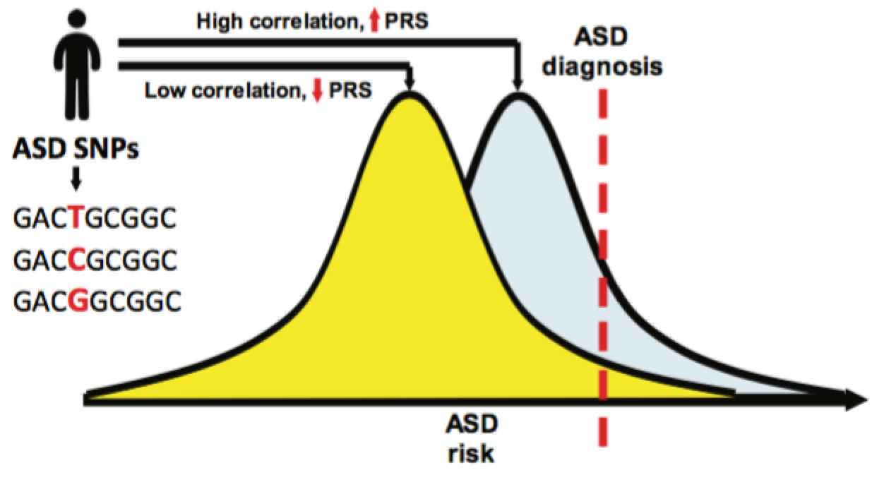 Genomic insights