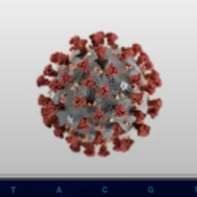 How to Write Genomics Screenshot