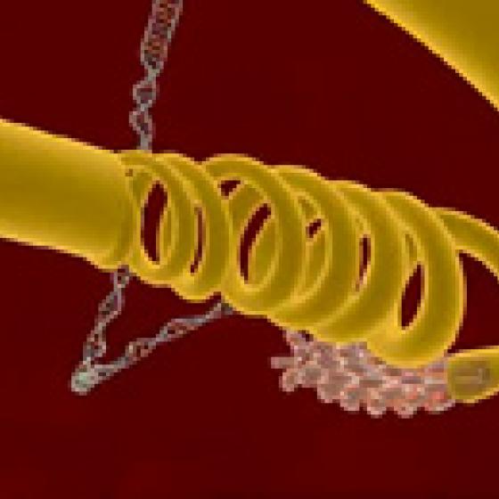 Video thumbnail image for ADN en 3-D