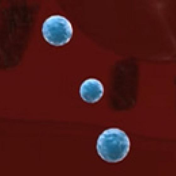 Video thumbnail image for Lysosomes 3-D