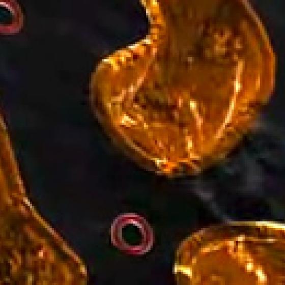 Video thumbnail image for ADN mitocondrial en 3-D
