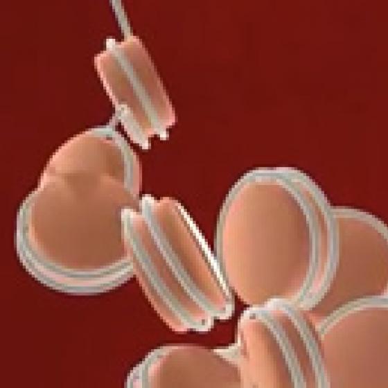 Video thumbnail image for Nucleosoma en 3-D