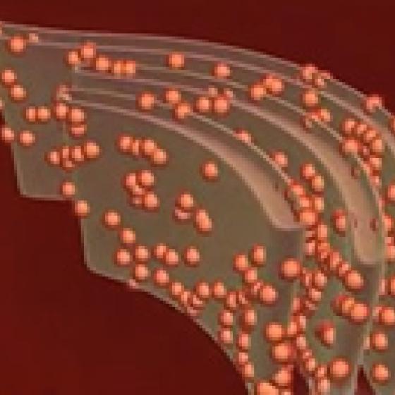 Video thumbnail image for Ribosomes 3-D