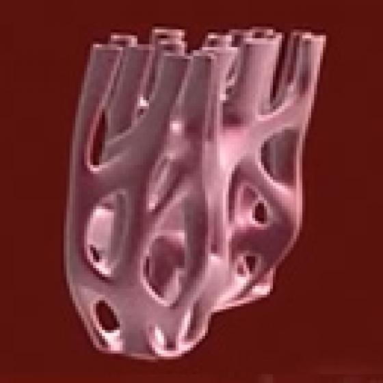 Video thumbnail image for Retículo endoplásmico liso en 3-D