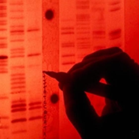 Video thumbnail image for Sequencing the first Human Genome