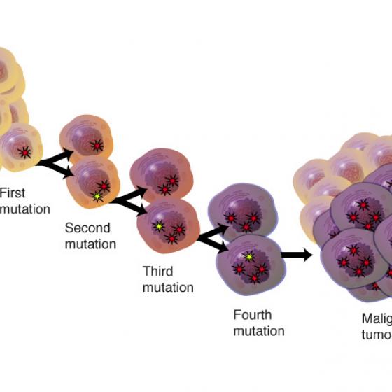 Cancer cells mutating