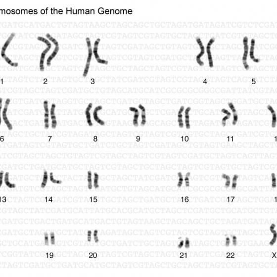 Genome illustrated